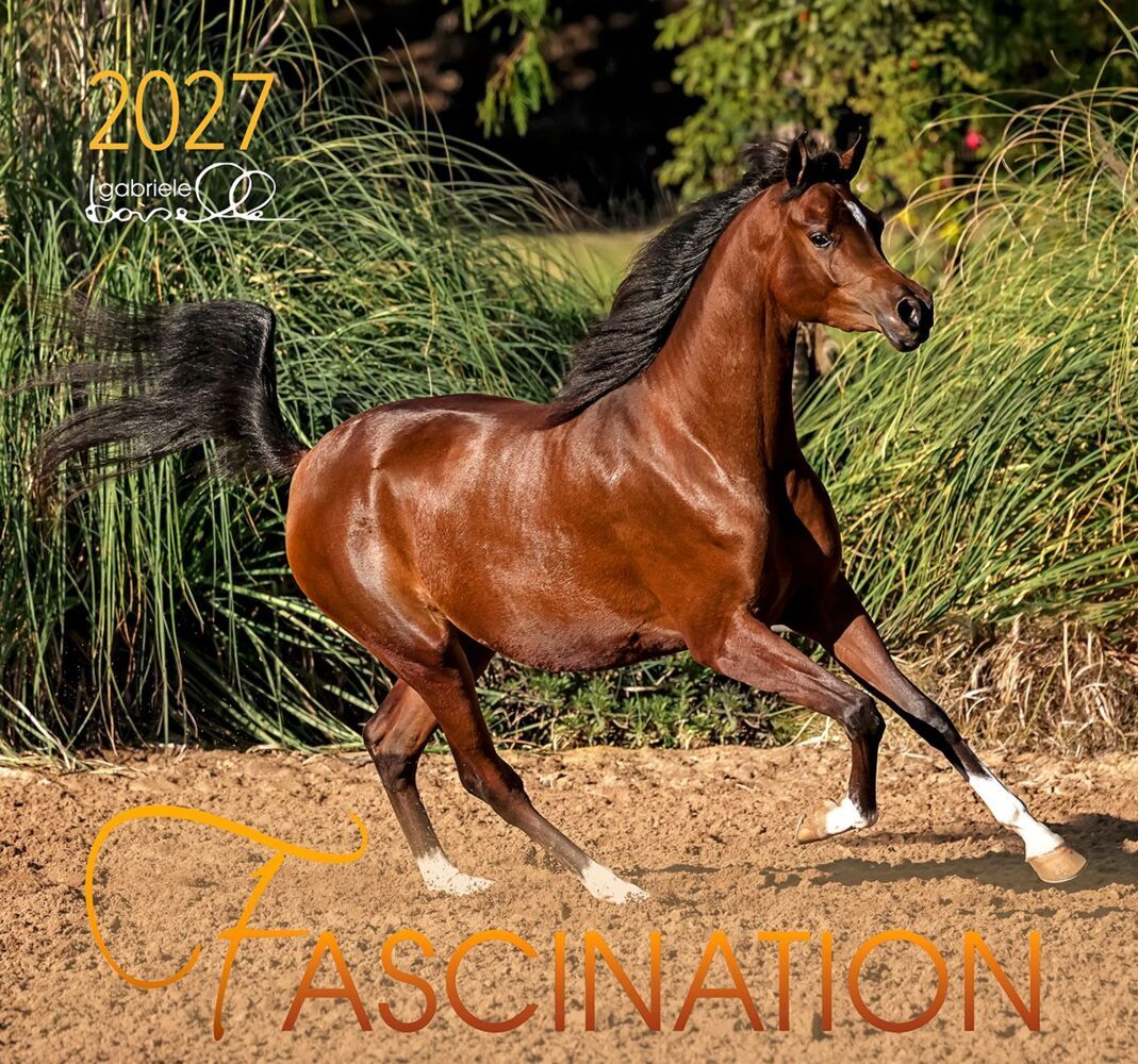 Fascination 2027 (Gabriele Boiselle)