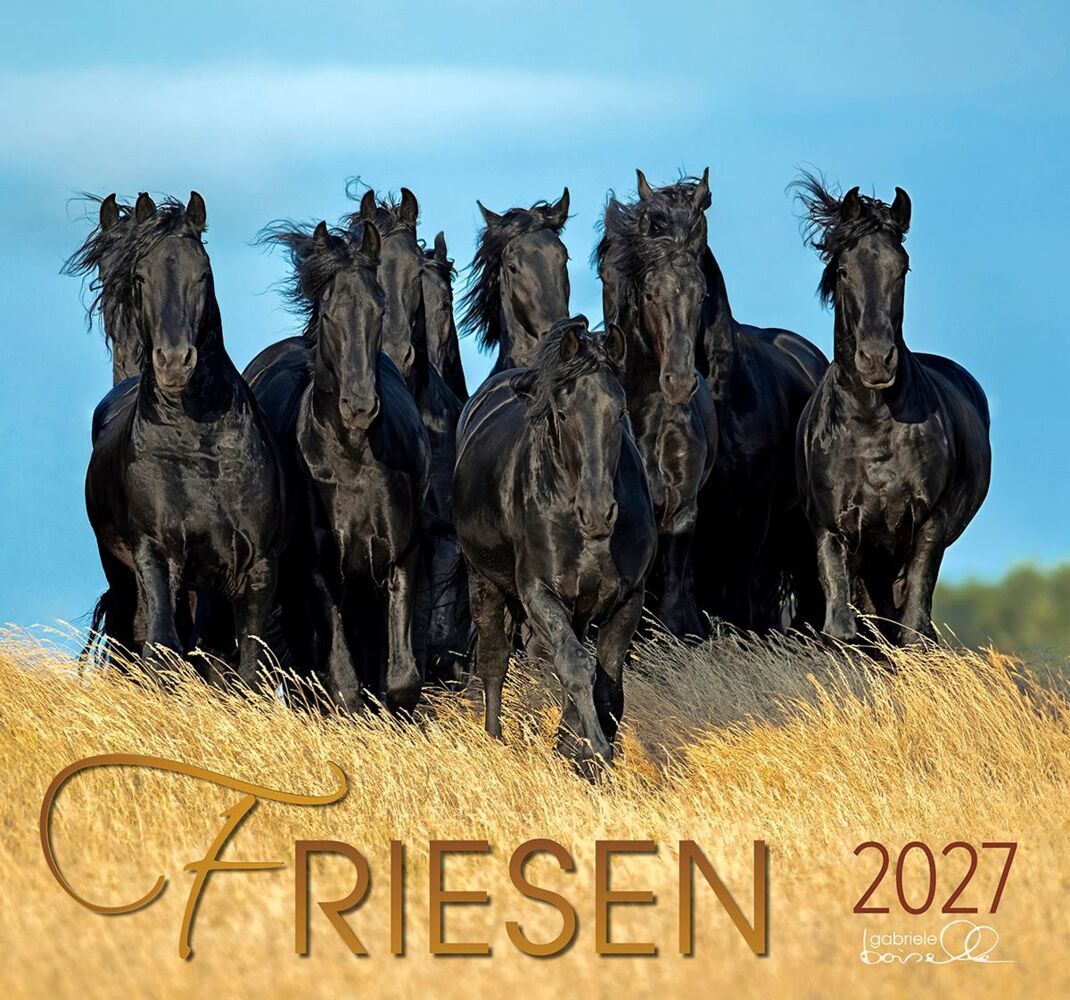 Friesen 2027 (Gabriele Boiselle)