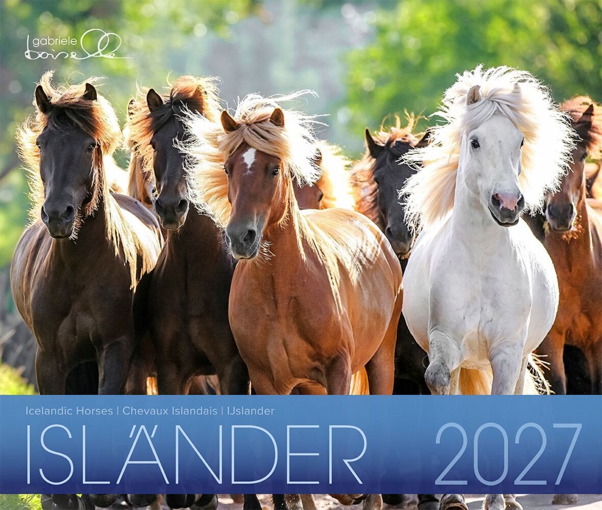 Isländer Pferde 2027 (Gabriele Boiselle)