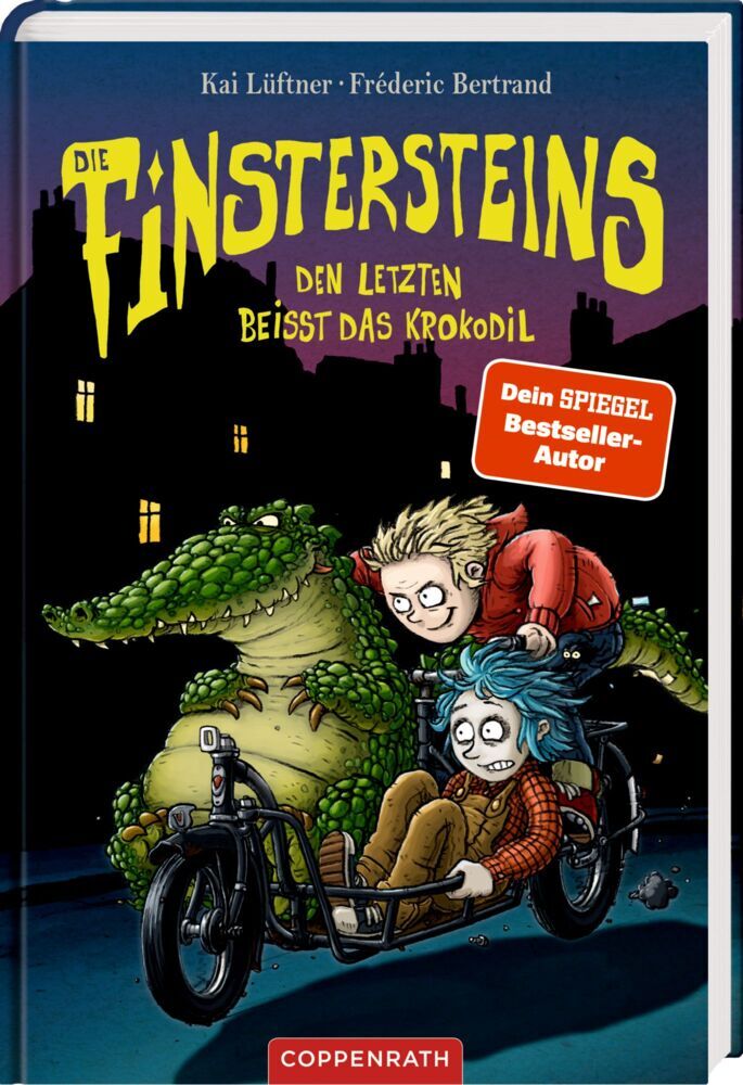 Die Finstersteins (Bd. 3) (Kai Lüftner)
