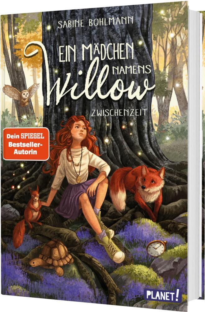 Ein Mädchen namens Willow 6: Zwischenzeit (Sabine Bohlmann)