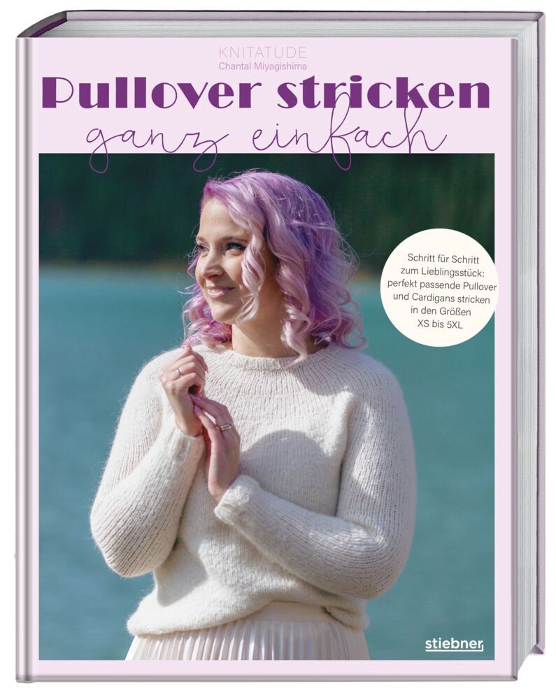 Pullover stricken ganz einfach (Chantal Miyagishima)
