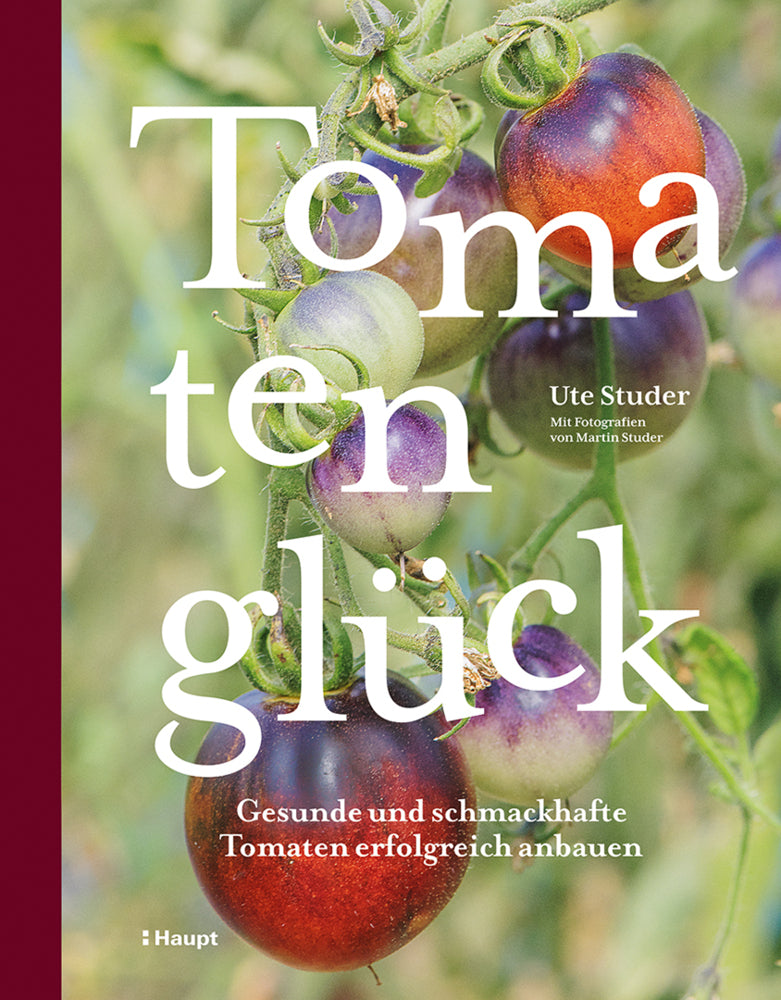 Tomatenglück (Ute Studer)