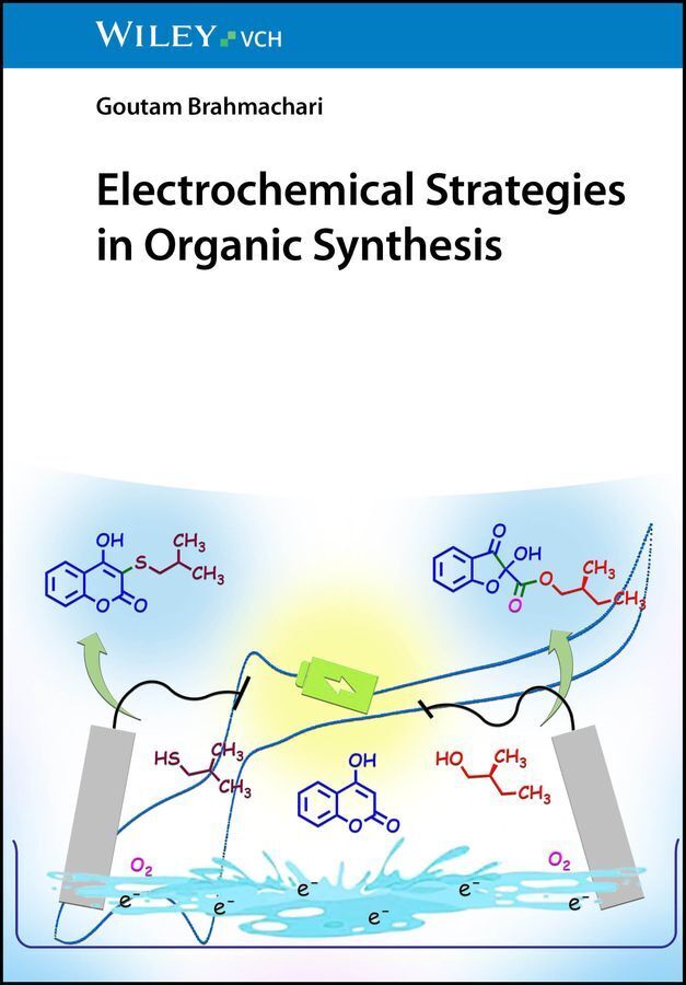 Electrochemical Strategies in Organic Synthesis (Goutam Brahmachari)
