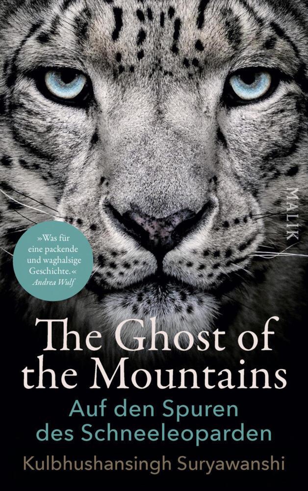 The Ghost of the Mountains (Kulbhushansingh Suryawanshi)