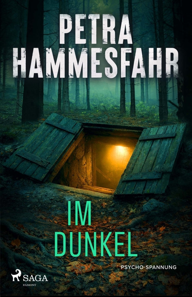 Im Dunkel (Petra Hammesfahr)