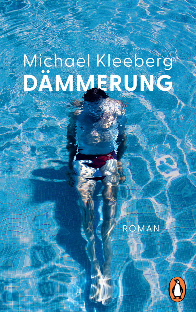 Dämmerung (Michael Kleeberg)