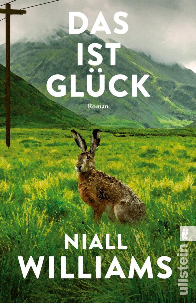 Das ist Glück (Niall Williams)