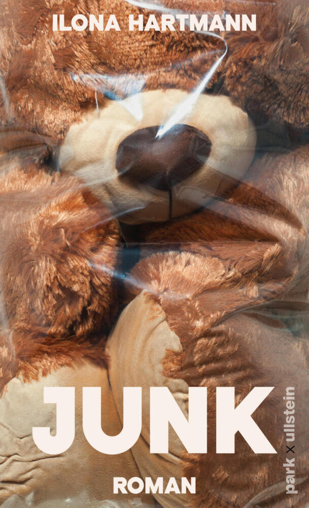 Junk (Ilona Hartmann)