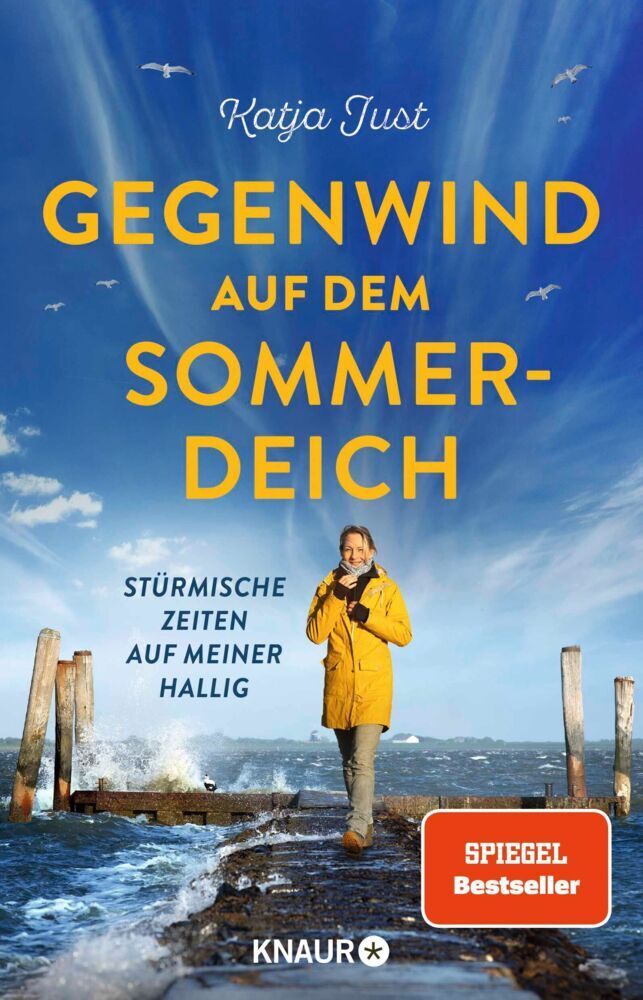 Gegenwind auf dem Sommerdeich (Katja Just)