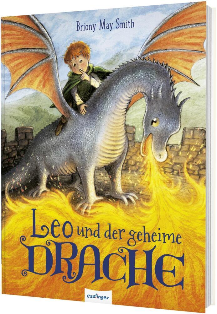 Leo und der geheime Drache (Briony May Smith)