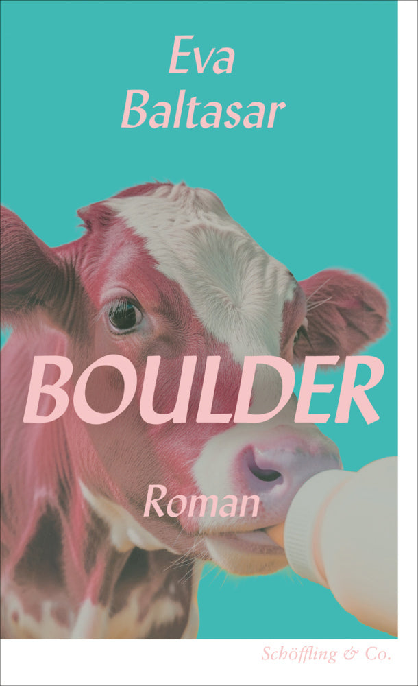Boulder (Eva Baltasar)