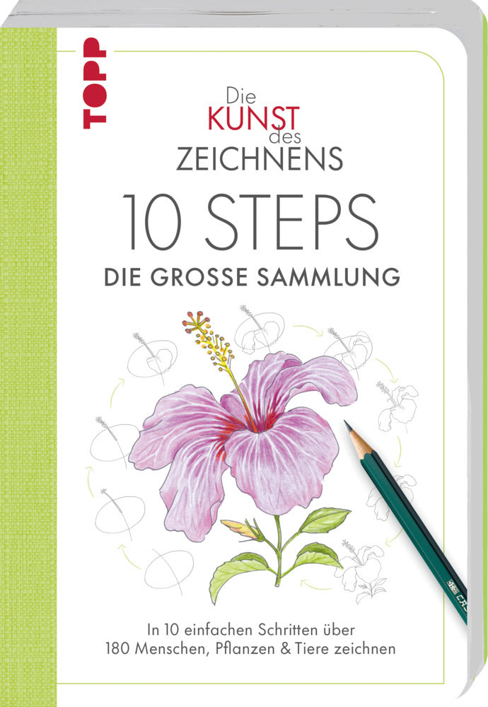 Die Kunst des Zeichnens 10 Steps - Die große Sammlung (Mary Woodin)