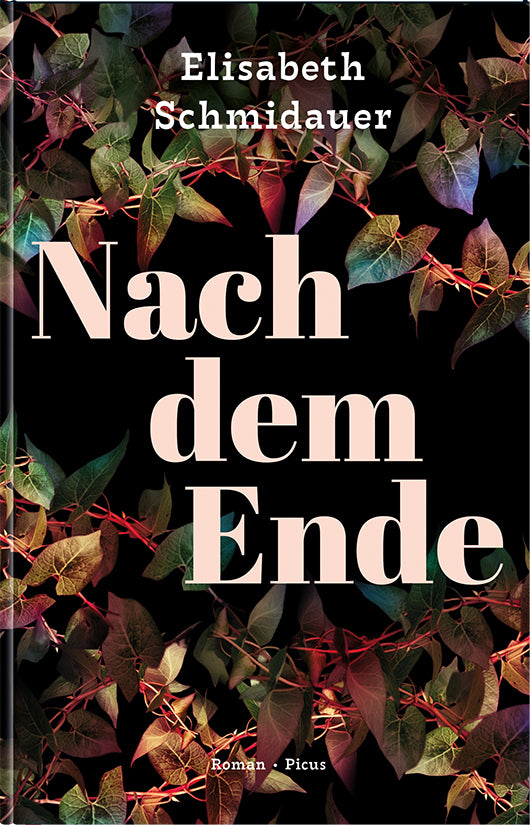 Nach dem Ende (Elisabeth Schmidauer)