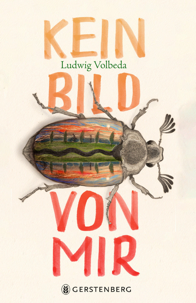 Kein Bild von mir (Ludwig Volbeda)