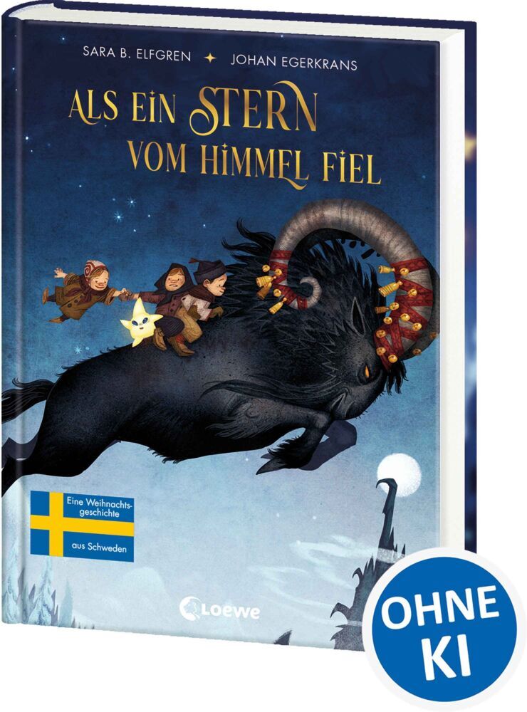 Als ein Stern vom Himmel fiel (Sara Bergmark Elfgren)