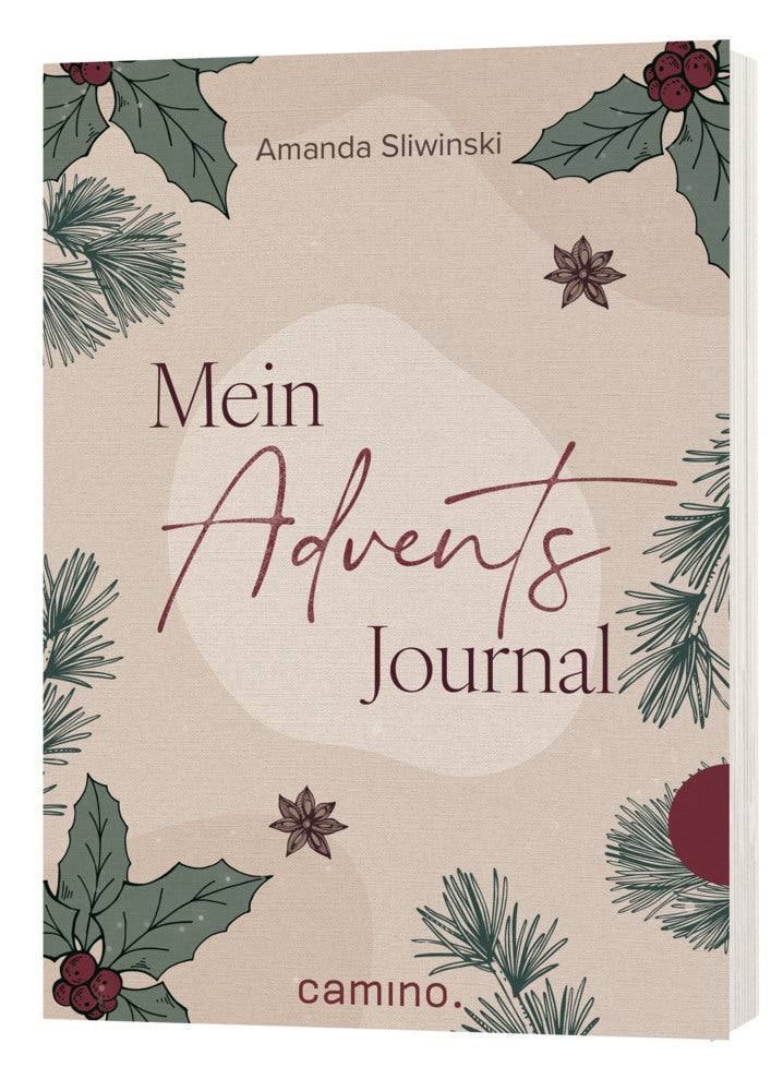 Mein Advents-Journal (Amanda Sliwinski)