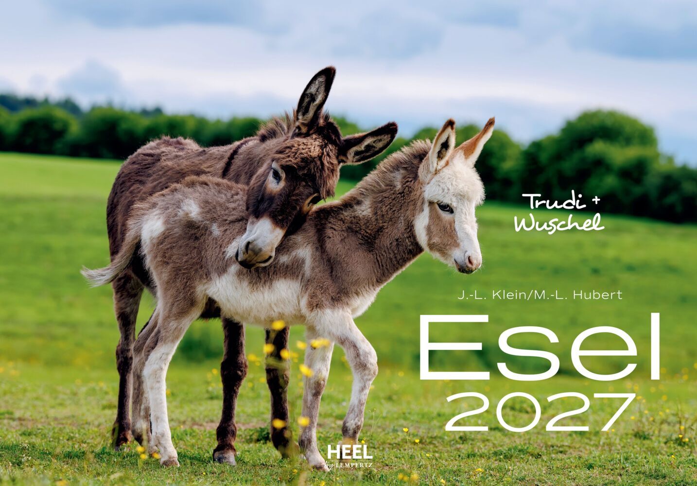 Esel Kalender 2027 (J.-L.;Hubert, M.-L. Klein)