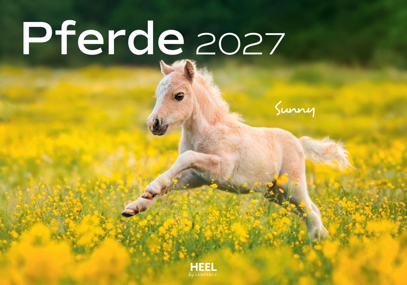 Pferde Kalender 2027 Wandkalender (Edyta Trojanska-Koch)