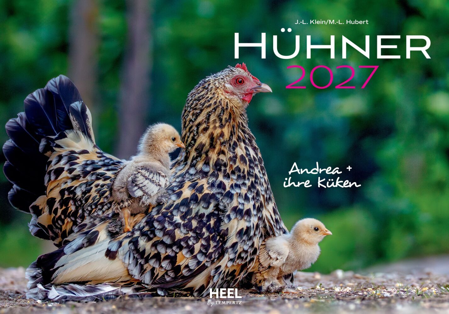 Hühner Kalender 2027 (J.-L.;Hubert, M.-L. Klein)