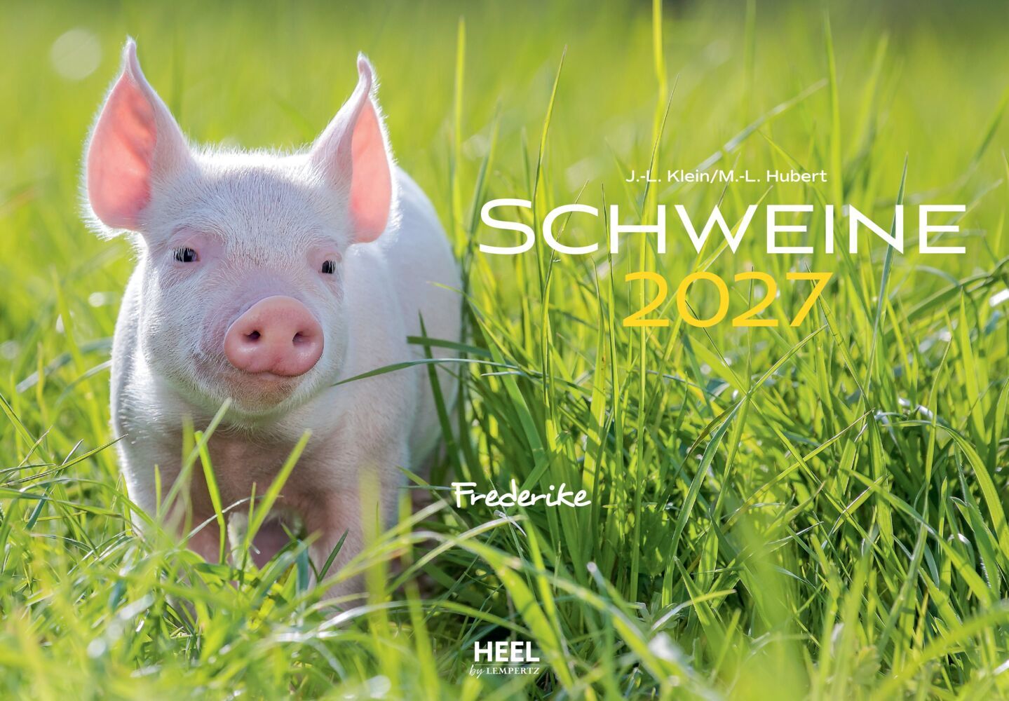 Schweine Kalender 2027 (J.-L; Hubert, M.-L. Klein)