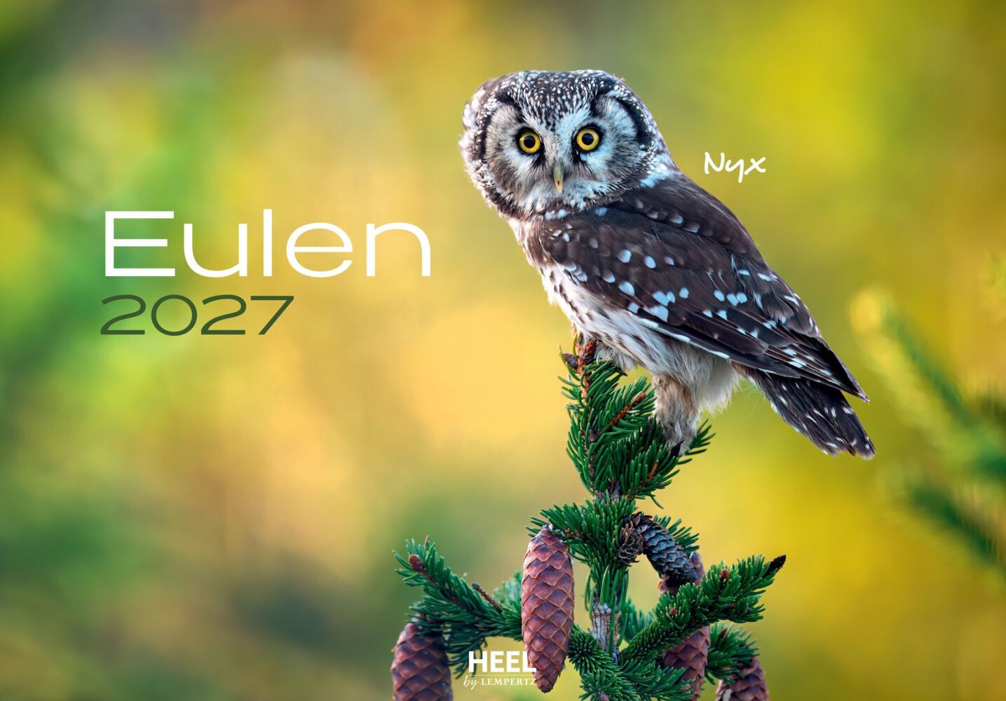 Eulen Kalender 2027 (J.-L.;Hubert, M.-L. Klein)