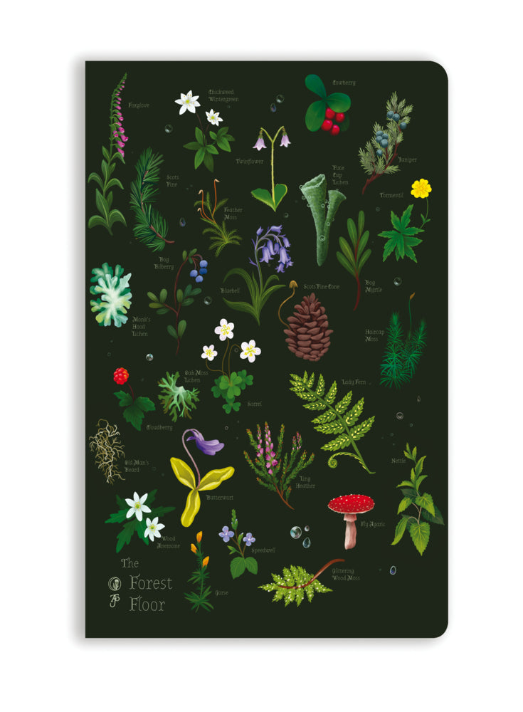 Premium Softcover Notizbuch: Anna Stead, Der Waldboden (Flame Tree Publishing)