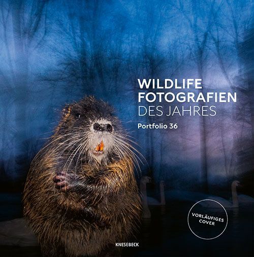 Wildlife Fotografien des Jahres - Portfolio 36 (Natural History Museum)