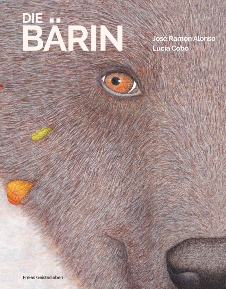 Die Bärin (José Ramón Alonso)