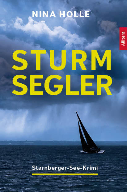 Sturmsegler (Nina Holle)