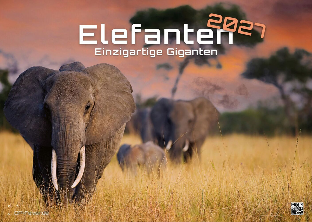 Elefanten - einzigartige Giganten - 2027 - Kalender DIN A3 (Gp-Fever.De)