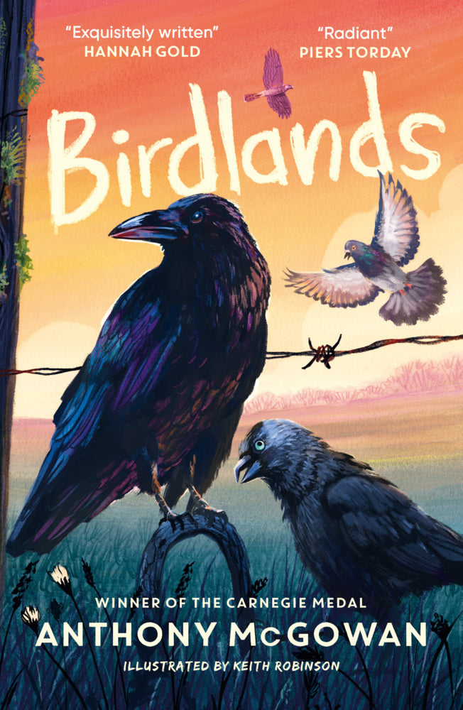 Birdlands (Anthony Mcgowan)