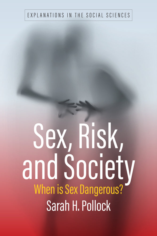 Sex, Risk, and Society (Sarah H. Pollock)