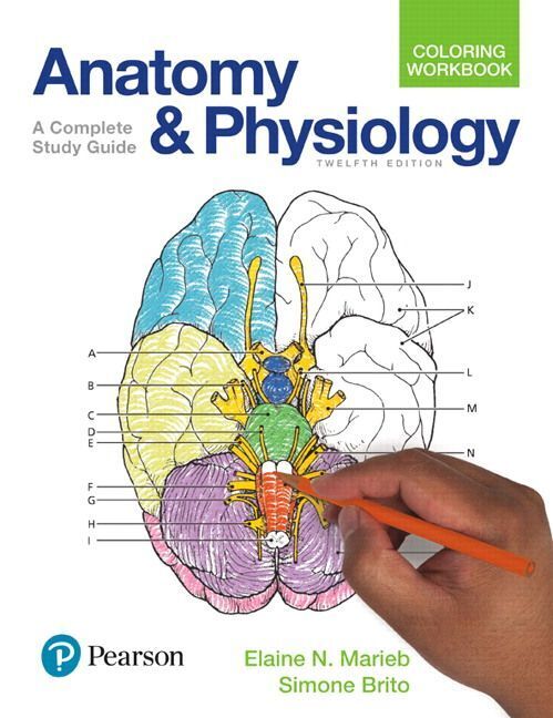 Anatomy and Physiology Coloring Workbook: A Complete Study Guide (Elaine Marieb)