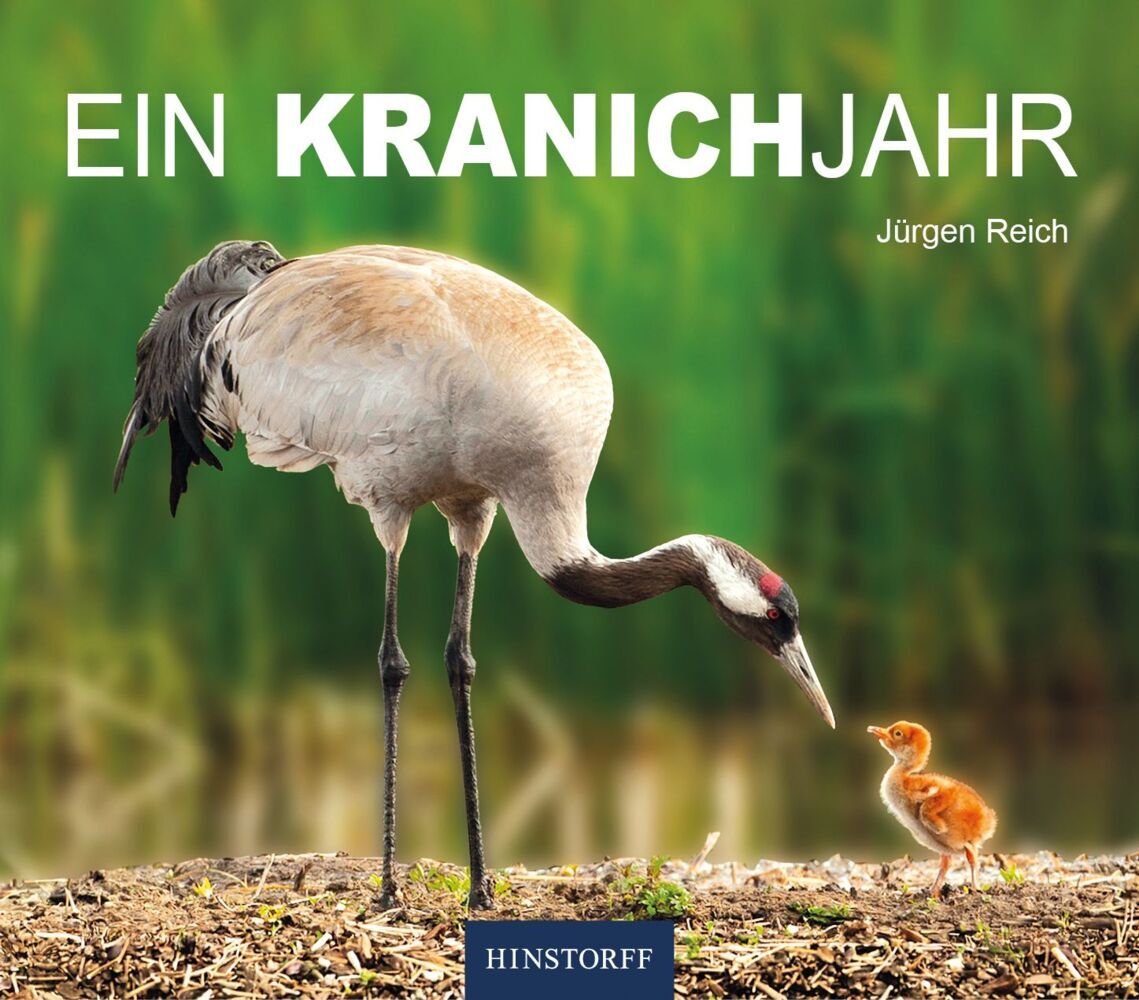 Ein Kranichjahr (Jürgen Reich)