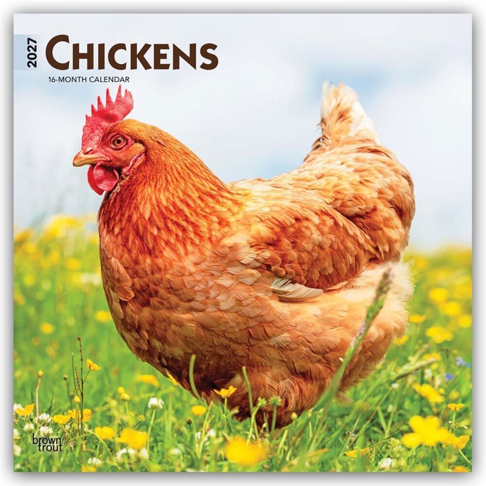 Chickens - Hühner 2027 - 16-Monatskalender (Browntrout Publishers Inc)