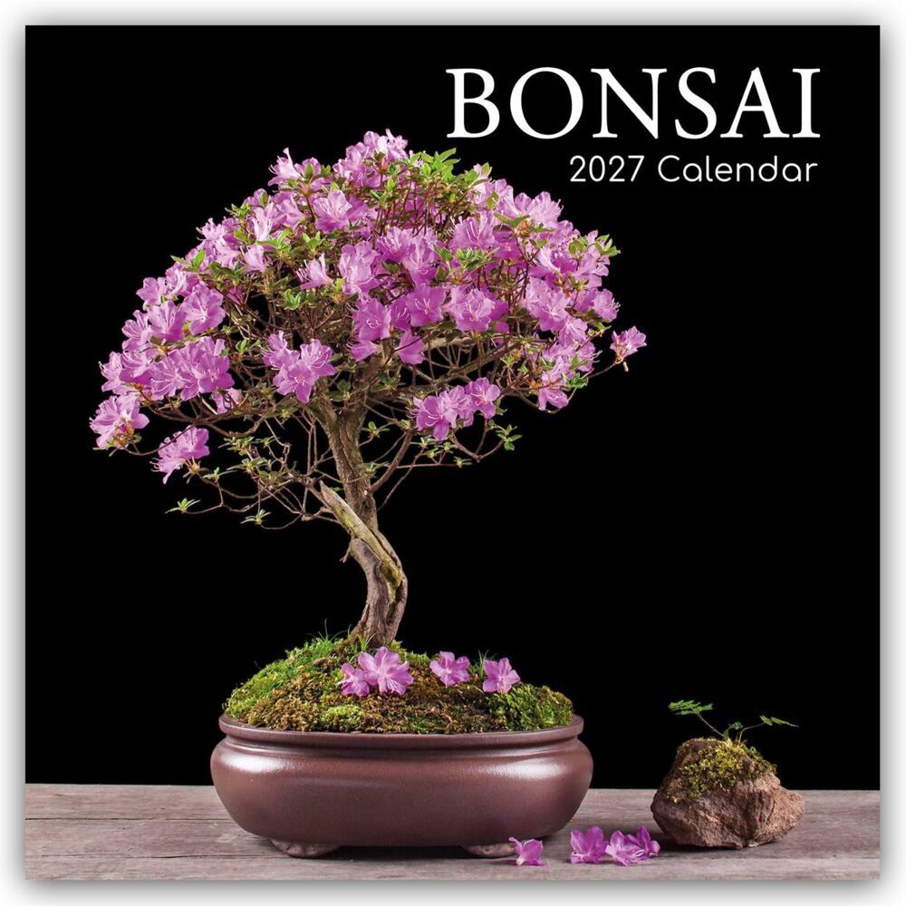 Bonsai - Bonsaibäume 2027 - 16-Monatskalender (Gifted Stationery Co. Ltd)