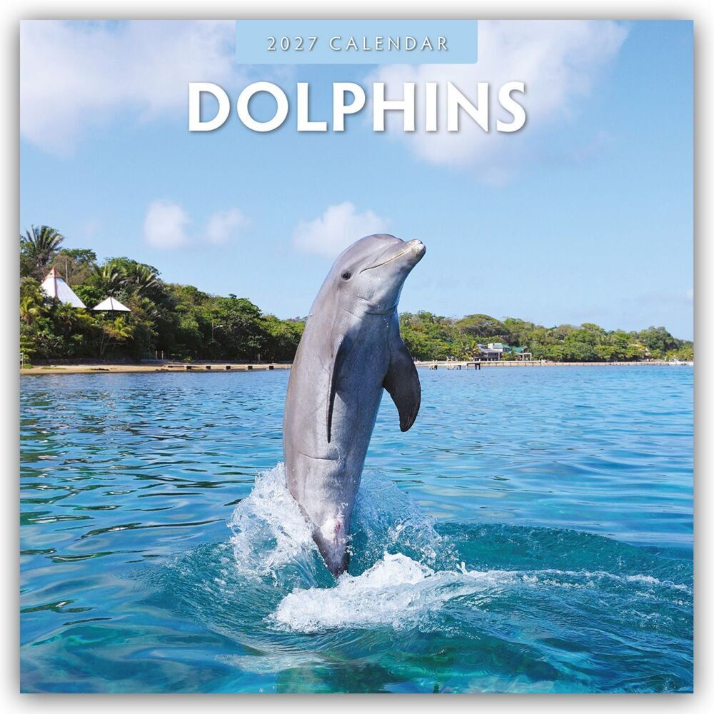 Dolphins - Delfine 2027 - 16-Monatskalender (Red Robin Publishing Ltd)
