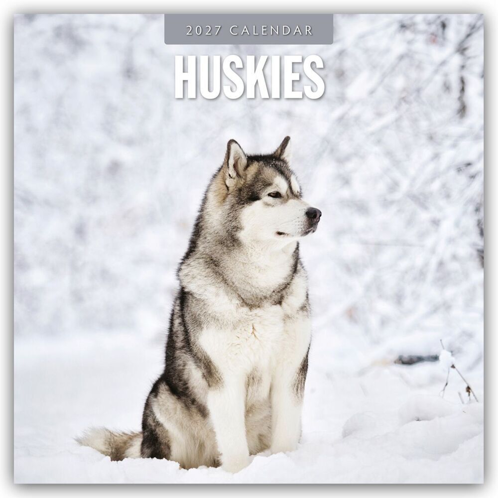 Huskies - Husky - Huskys 2027 - 16-Monatskalender (Red Robin Publishing Ltd)