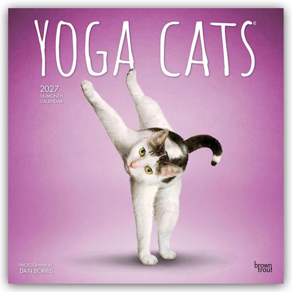 Yoga Cats - Katzen Yoga 2027 - 16-Monatskalender (Browntrout Publishers Inc)