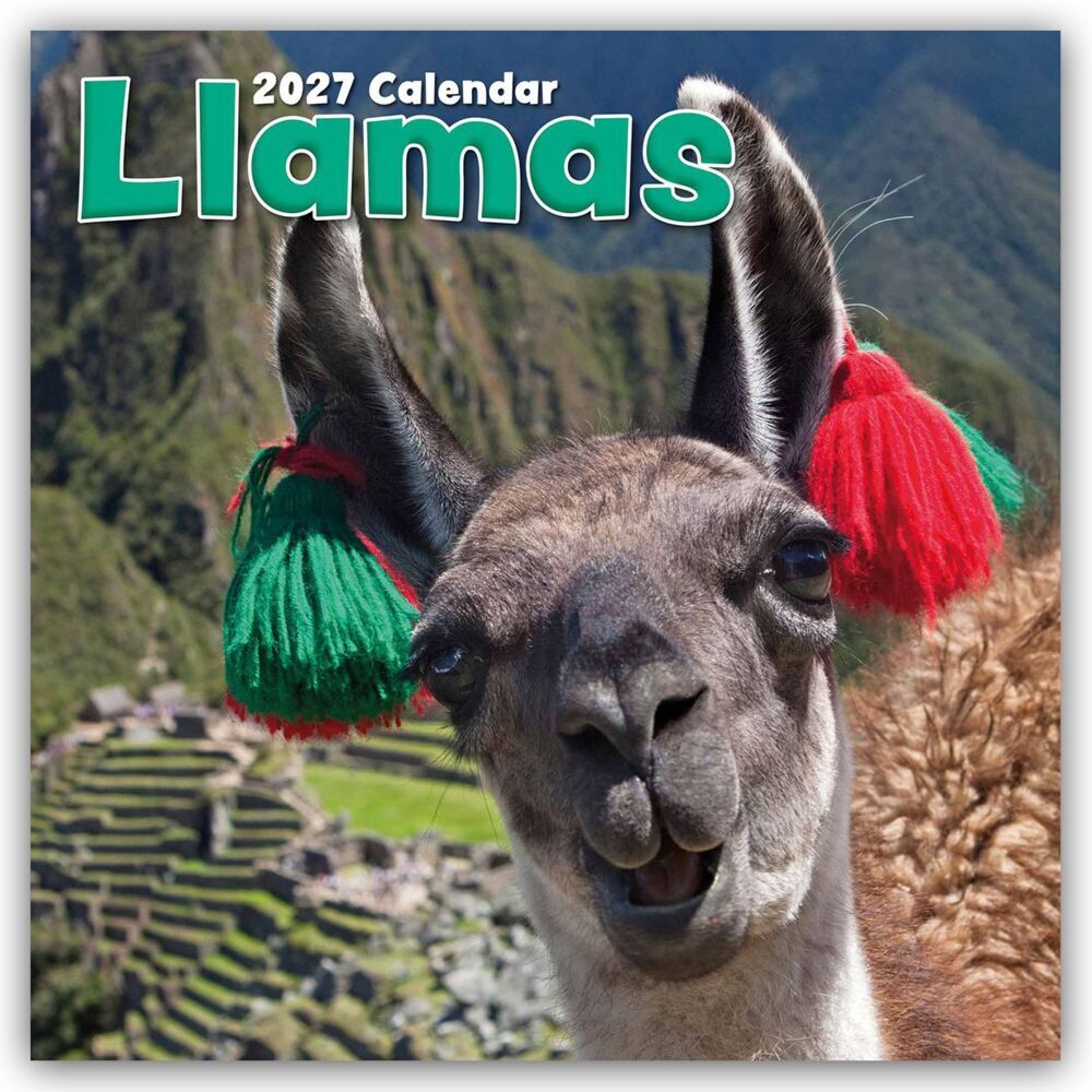 Llamas - Lamas 2027 - 16-Monatskalender (Gifted Stationery Co. Ltd)