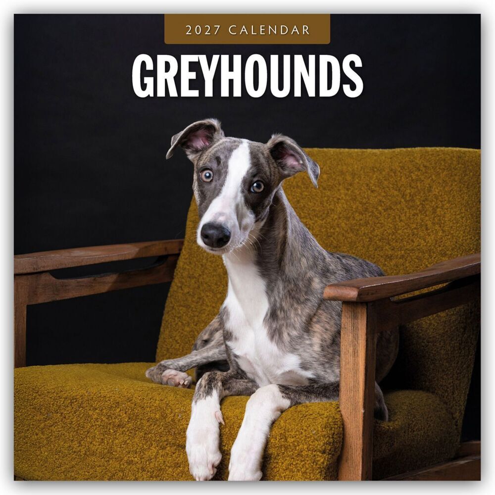 Greyhound - Windhund 2027 - 16-Monatskalender (Red Robin Publishing Ltd)