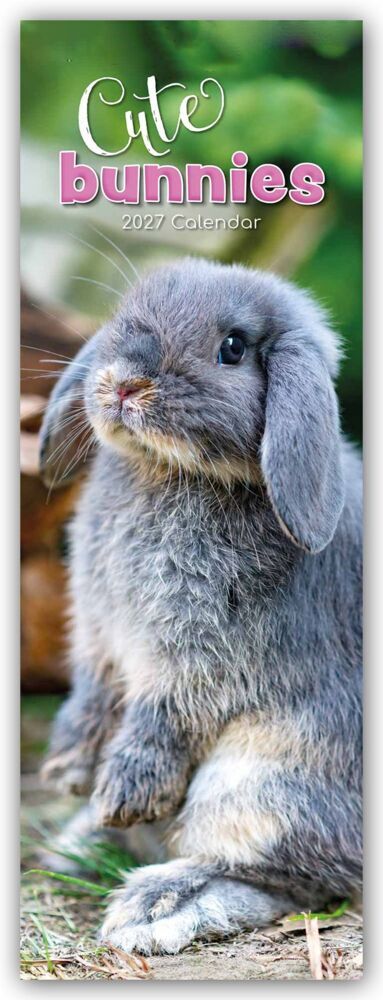 Cute Bunnies - Süße Häschen - Slimline-Kalender 2027 (Gifted Stationery Co. Ltd)