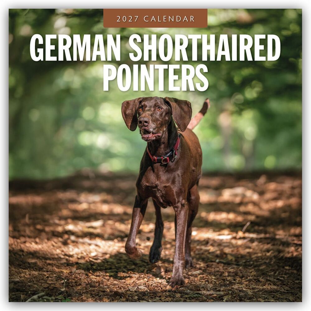 German Shorthaired Pointers - Deutscher Kurzhaar - Deutscher Kurzhaariger Vorstehhund 2027 - 16-Monatskalender (Red Robin Publishing Ltd)