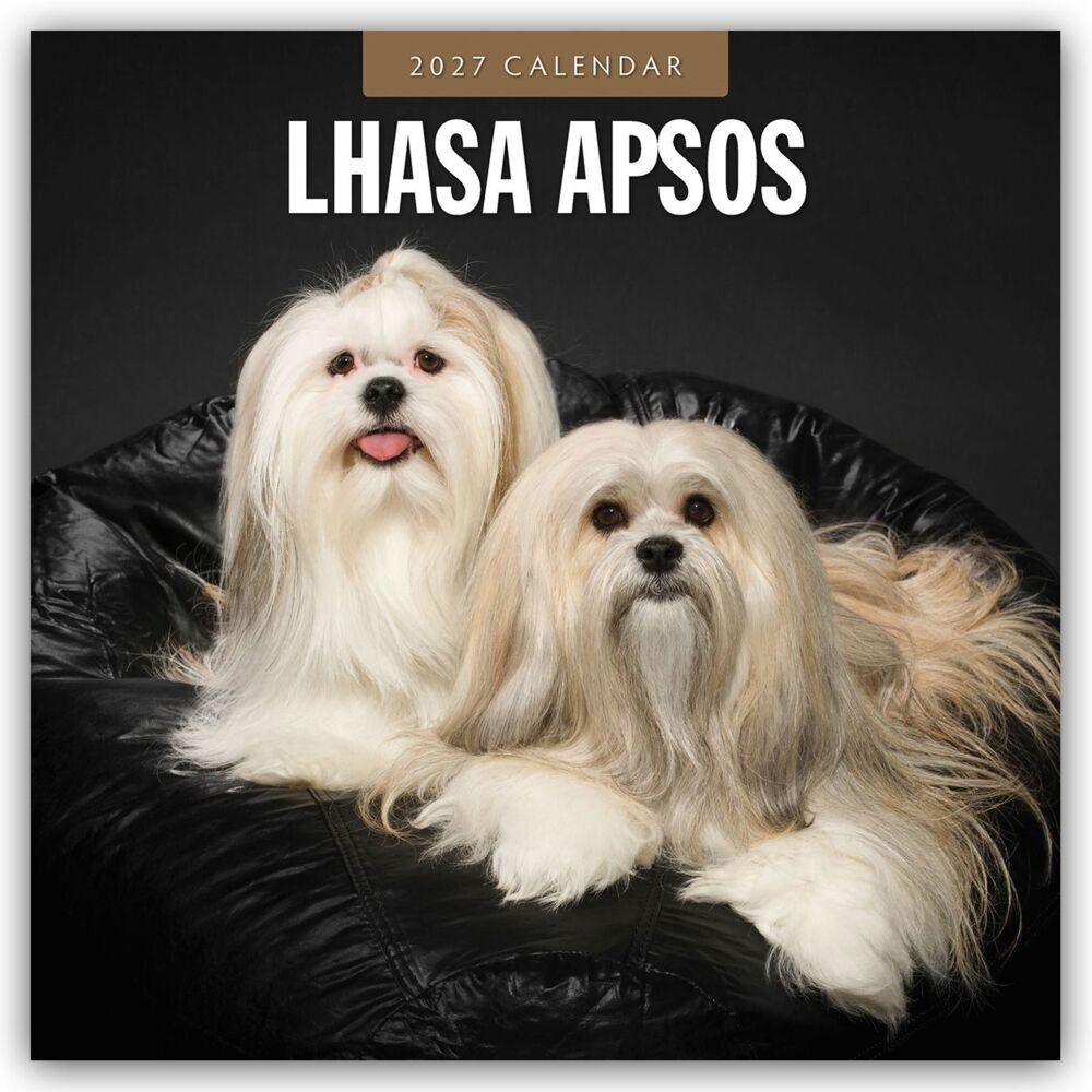 Lhasa Apsos - Lhasa Apso 2027 - 16-Monatskalender (Red Robin Publishing Ltd)