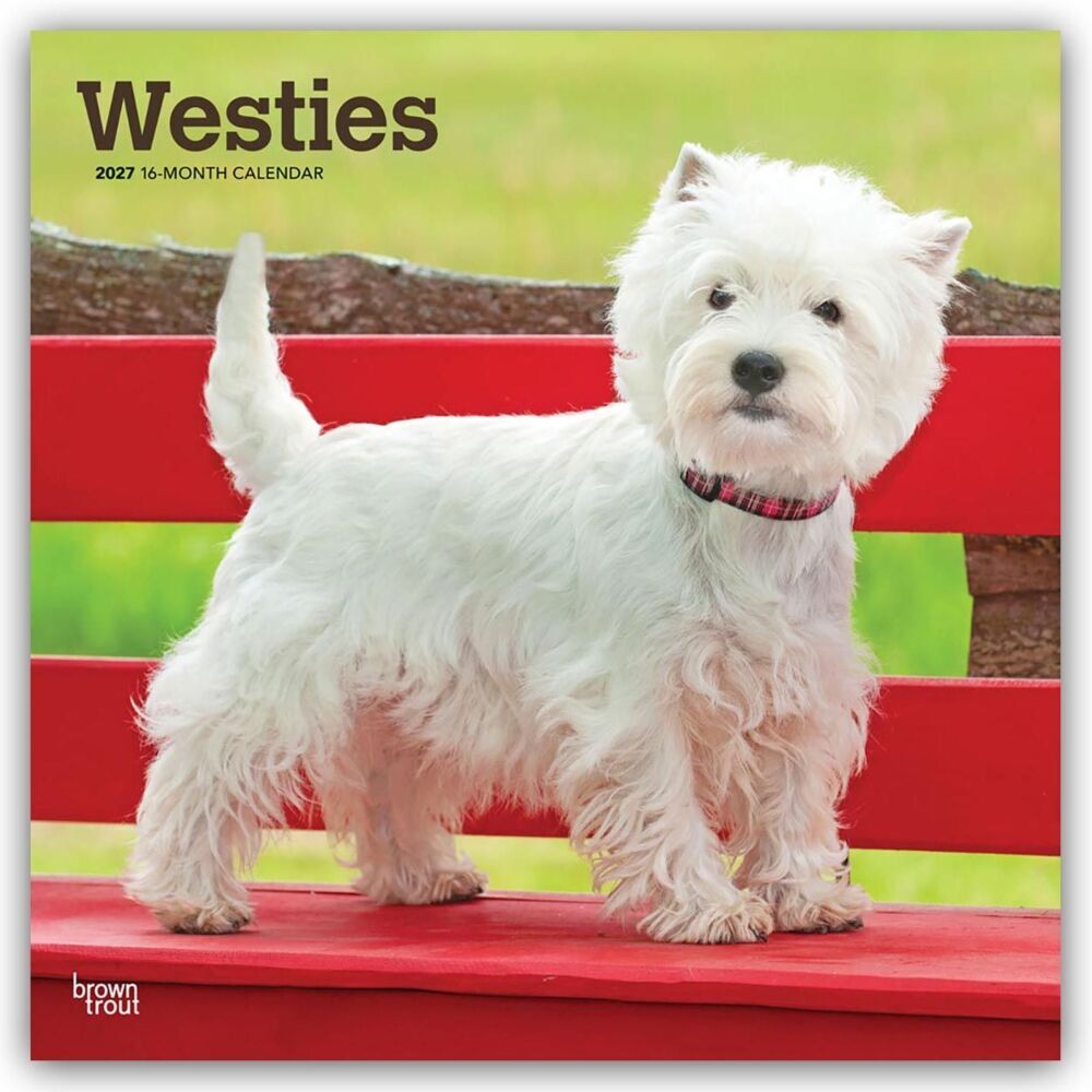 West Highland White Terriers - Westhighland White Terrier - Westies 2027 - 16-Monatskalender (Browntrout Publishers Inc)