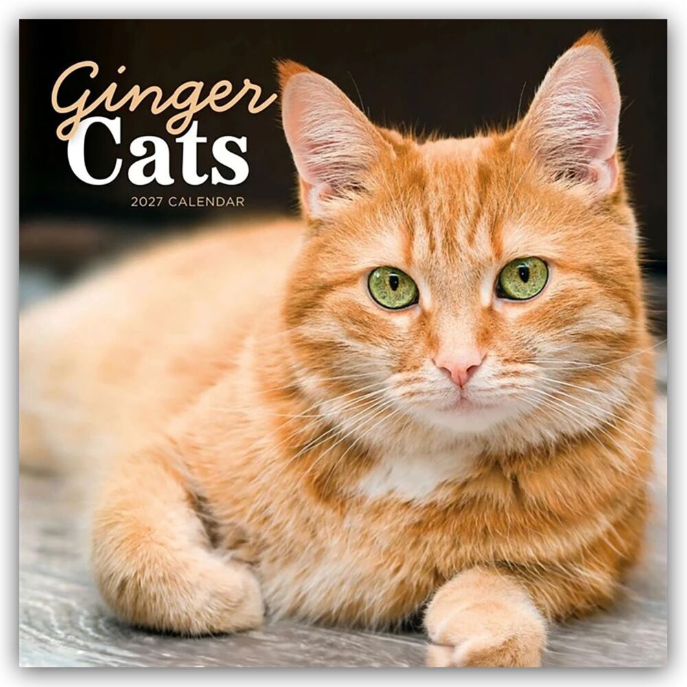 Ginger Cats - Rothaarige Katzen 2027 - Wand-Kalender (Carousel Calendar)