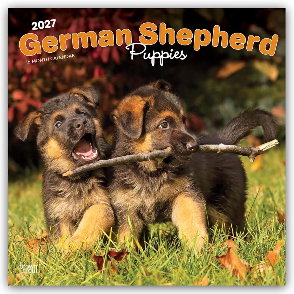 German Shepherd Puppies - Deutsche Schäferhund Welpen 2027 - 16-Monatskalender (Browntrout Publishers Inc)