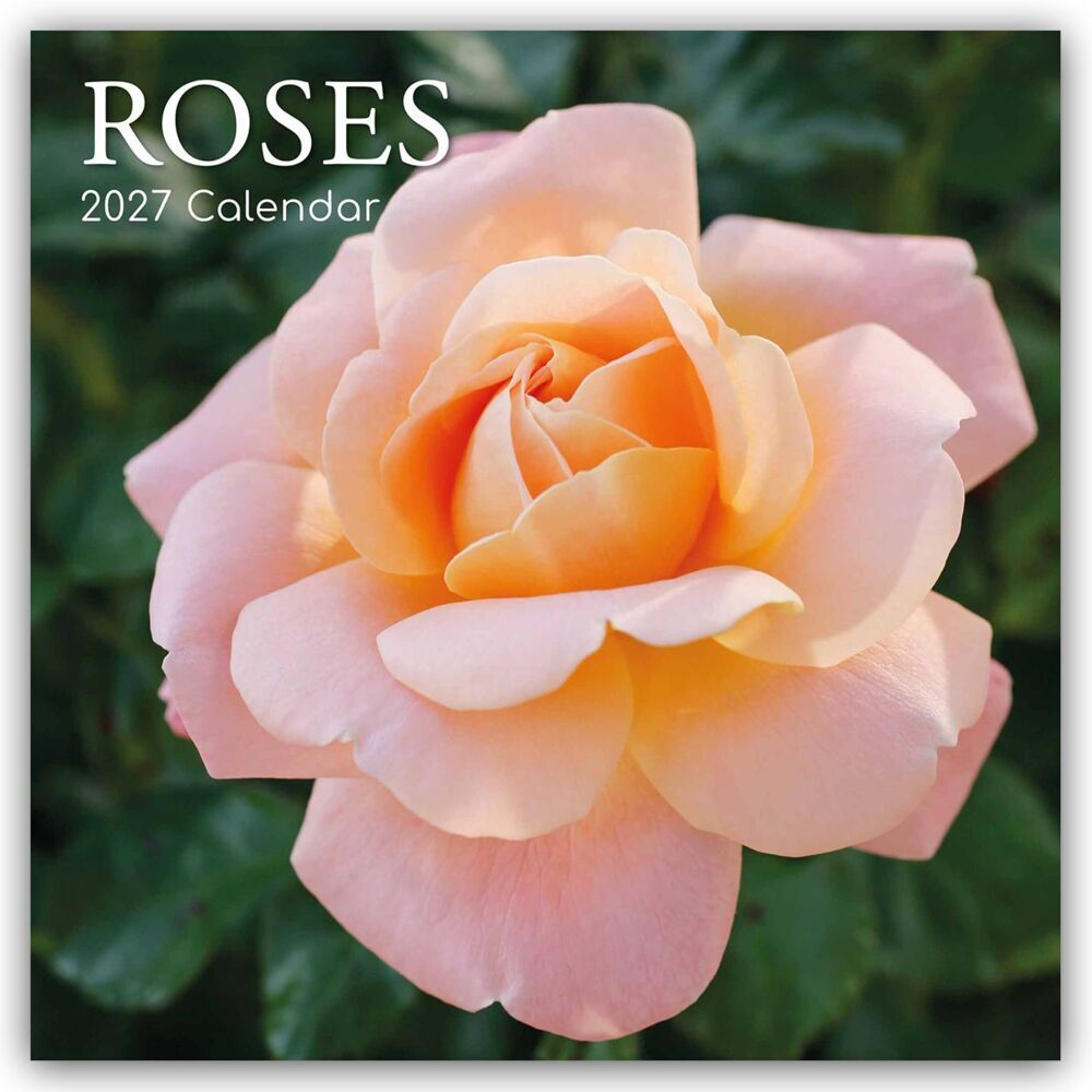 Roses - Rosen 2027 - 16-Monatskalender (Gifted Stationery Co. Ltd)