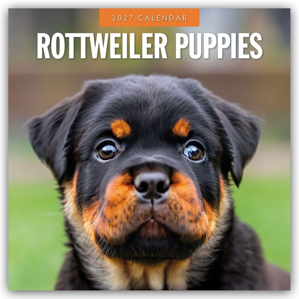 Rottweiler Puppies - Rottweiler Welpen 2027 - 16-Monatskalender (Red Robin Publishing Ltd)